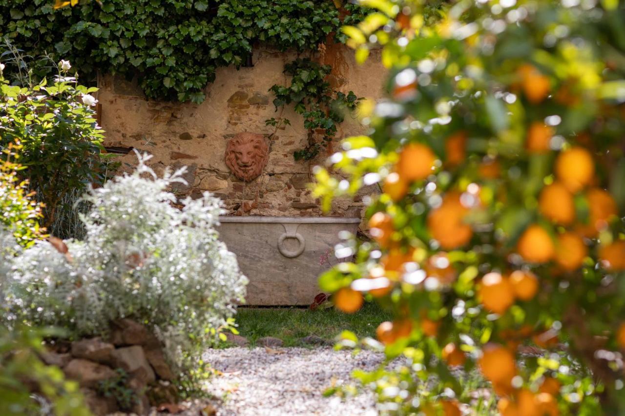Secret Garden Firenze B&B 外观 照片
