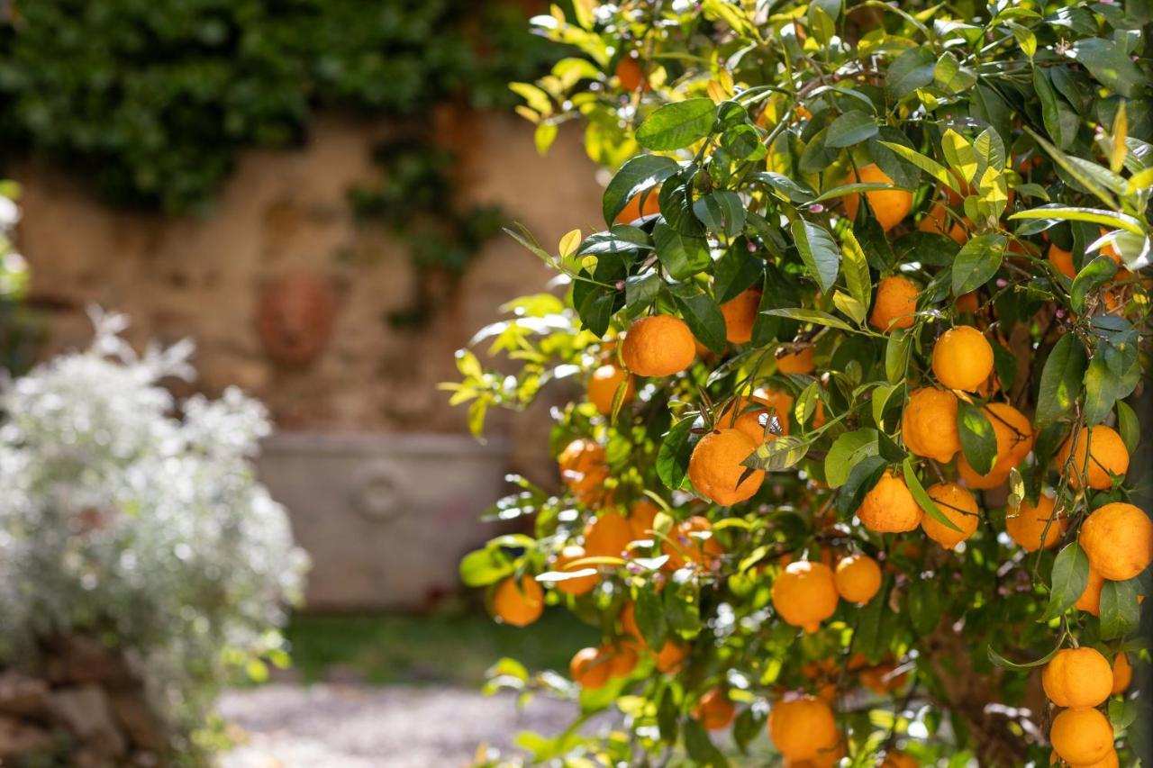 Secret Garden Firenze B&B 外观 照片