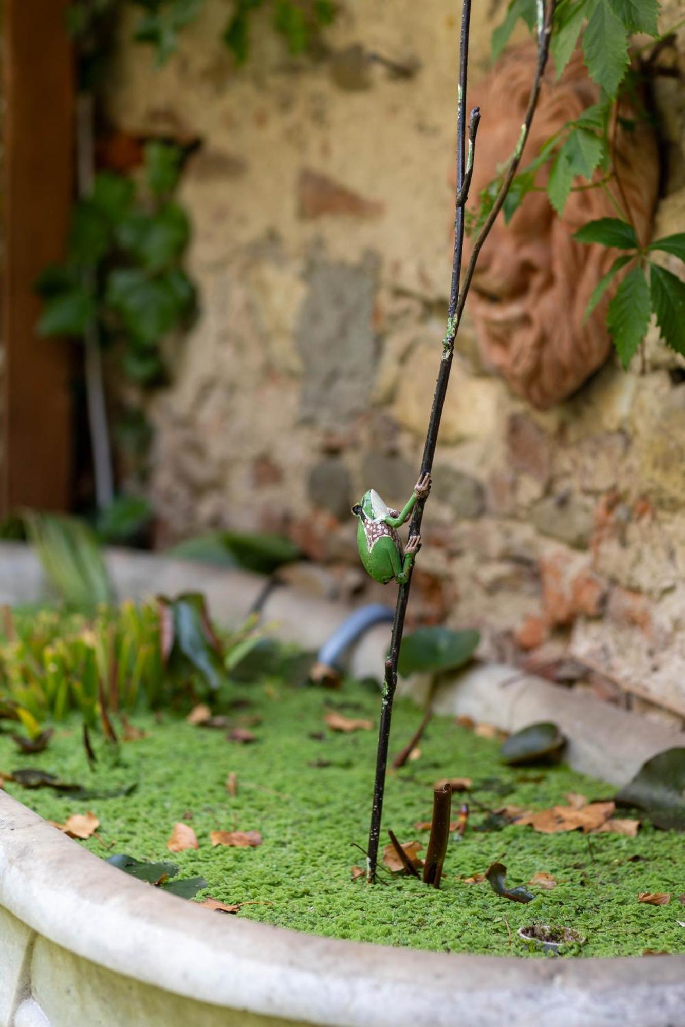 Secret Garden Firenze B&B 外观 照片