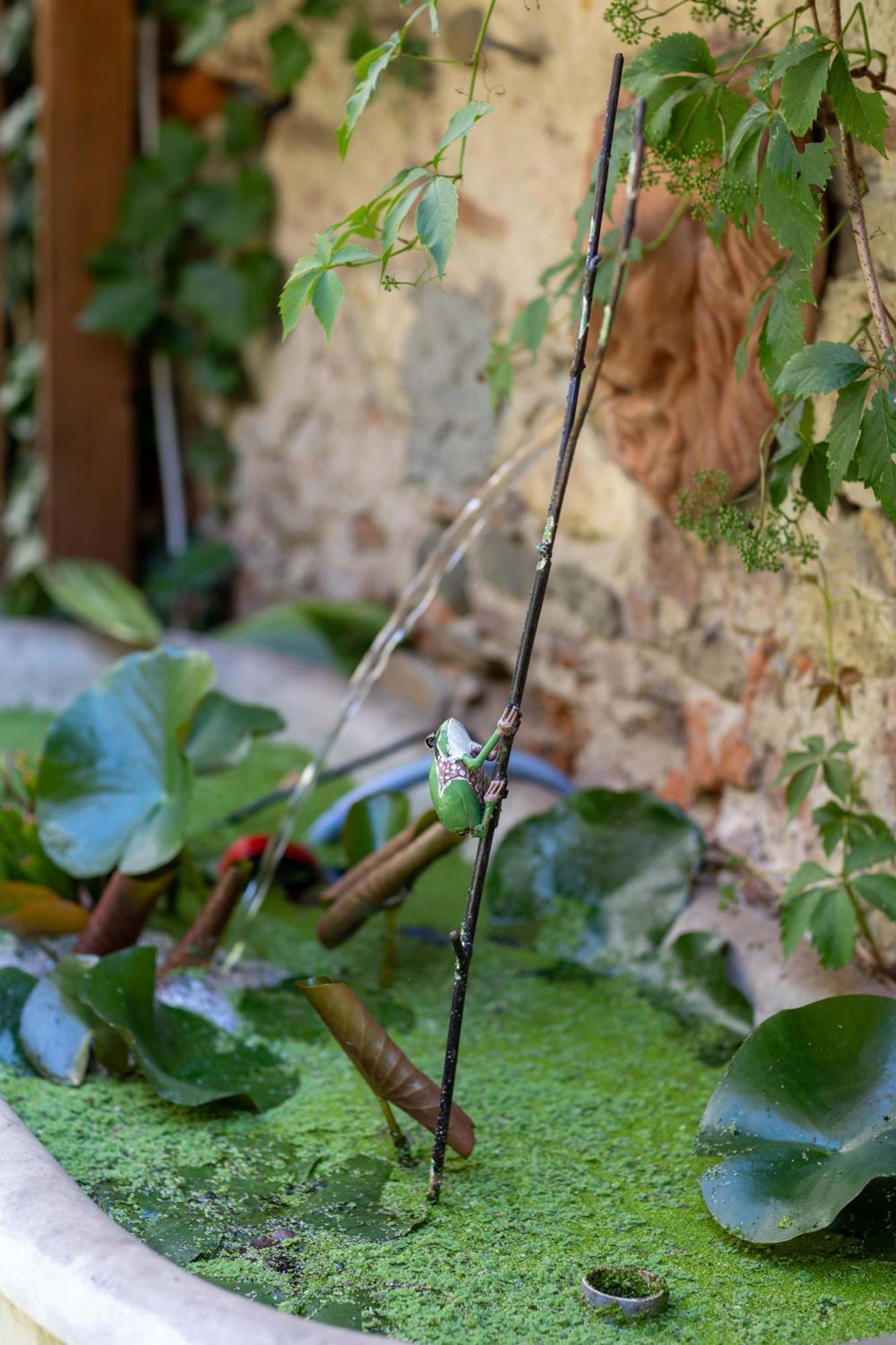 Secret Garden Firenze B&B 外观 照片