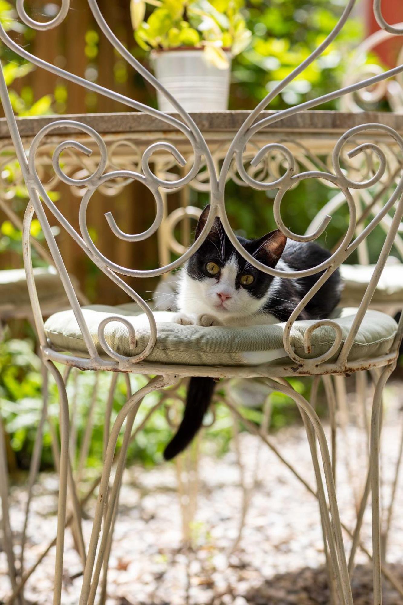 Secret Garden Firenze B&B 外观 照片